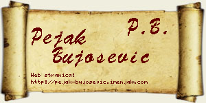 Pejak Bujošević vizit kartica